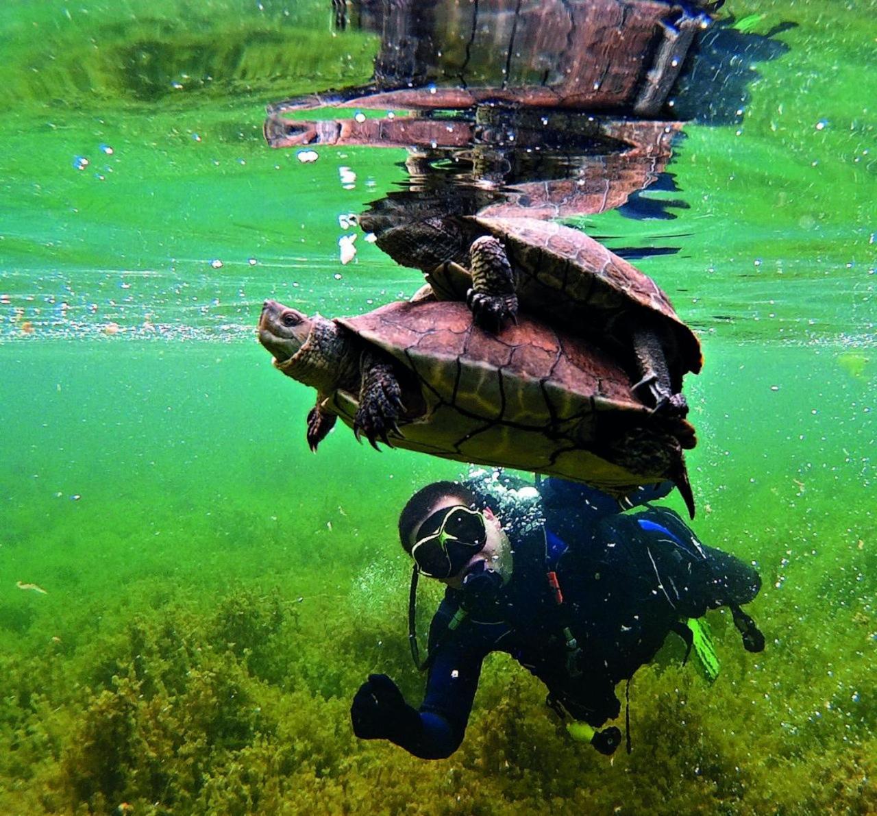Villa Tranquila Lagunas De Ruidera Ossa de Montiel Luaran gambar